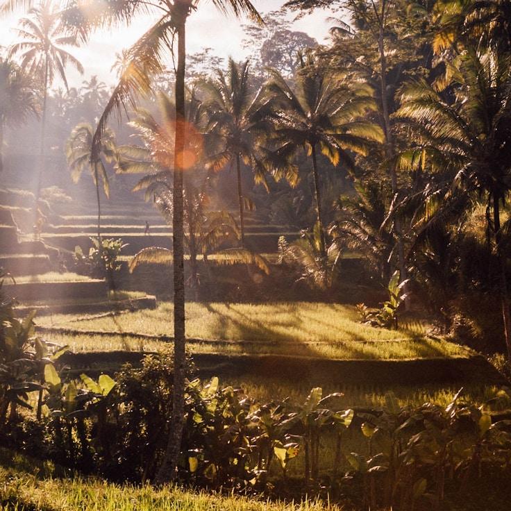 Entertainment zone at night in Switzerland